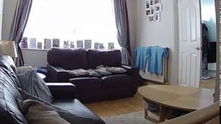 Archie Sofa Fail