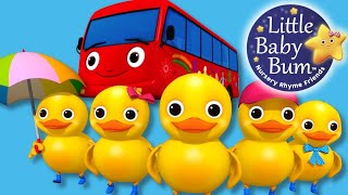 Five Little Ducks | Animal Song for Kids & More BabyTiger Nursery Rhymes | kisa songs