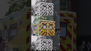 Arrest made in US synagogue terror plot