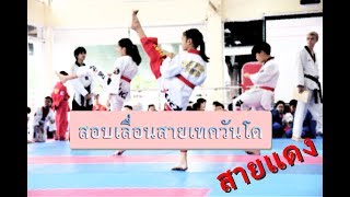 นีน่าสอบเลื่อนสายเทควันโด สายแดงขึ้นสายแดงสอง The Kick Taekwondo ศรีนครินทร์