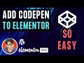 Elementor - Add Codepen Codes and a Button - Super Easy