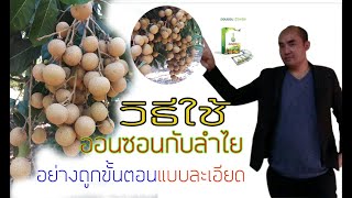 ออนซอนกับลำไย  วิธีใช้อย่างถูกต้อง