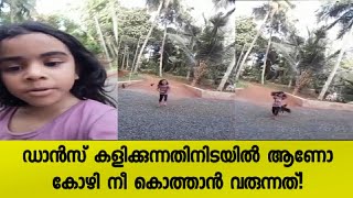 ഡാൻസ് കളിക്കുന്നതിനിടയിൽ ആണോ കോഴി നീ കൊത്താൻ വരുന്നത് | J7 MEDIA