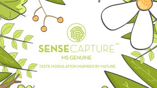 MANE Sense Capture™ MS Genuine   Taste modulation inspired by nature