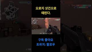 오로지 샷건으로만 때린다 #shorts