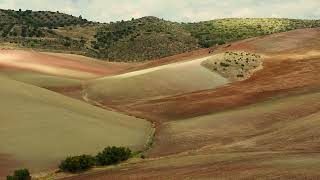 Blix in Europe presents - Autumn fields Andalucia, Spain