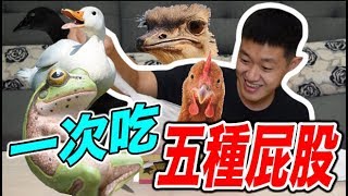 【狠愛演】大挑戰！一次吃五種動物的屁股！ 😱😱😱『那畫面太美我不敢看』😱😱