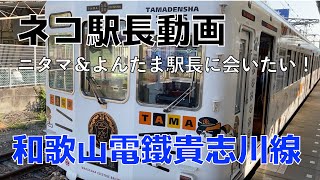 ネコの駅長に会える！ 「たま駅長」 和歌山電鐵貴志川線の旅