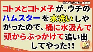 【スカッとする話 DQN】コトメとコトメ子が、うちのハムスターを水洗いしやがったので、桶に水汲んで頭からぶっかけて追い出した。（スカッとティータイム）