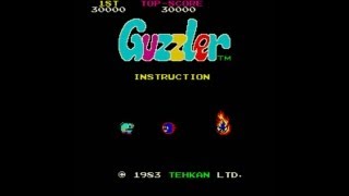 Guzzler 1983 Tehkan Mame Retro Arcade Games