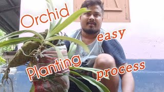 How can the orchid be planted in an easy way? কপৌ ফুল কেনেকৈ সহজ উপায়েৰে ৰোৱ পাৰি