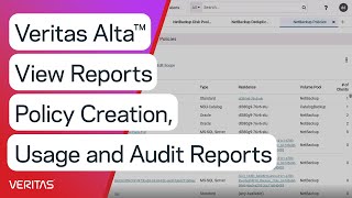 Veritas Alta™ View Reports Policy Creation, Usage and Audit Reports