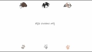 대만에 뮤지컬 보러 간 사람과 콘서트 보러 간 사람