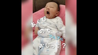 (生後46日)あくびしてブルブル(おしっこ？)