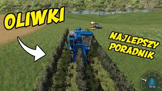 OLIWKI w FS22  |  Kompletny Poradnik  |  Bonus Na 3k Subów]