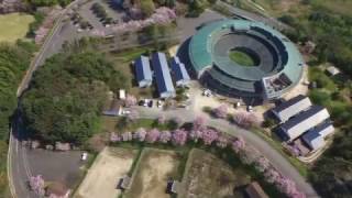 鳥取県の素敵な景色②：伯耆しあわせの郷しだれ桜（鳥取県倉吉市小田）