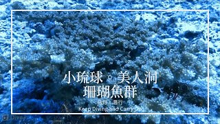 小琉球。美人洞  #15 Merirendong🌟珊瑚魚群🌟 #船潛 #潛水【日月。潛行】