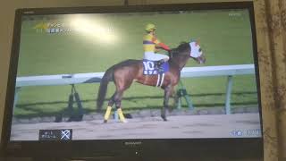 【実況】12/1 中京11R 第20回チャンピオンズカップ 本馬場入場