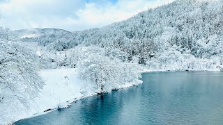 Breathtaking train ride from Takayama to Toyama 🇯🇵