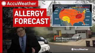 2026 Allergy Forecast: When Will Pollen Be Bad Across the US?