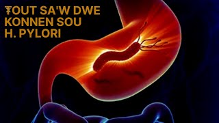 Helicobacter Pylori!  Kisa Li Ye e kijan Pou Trete Enfeksyon An? Tout Detay sou H Pylori