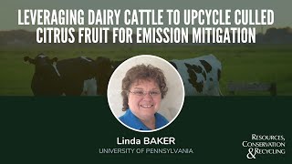 Linda BAKER: Leveraging dairy cattle to upcycle culled citrus fruit for emission mitigation