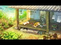 lofi hip hop mix [LIVE 24/7] Beats for play and study