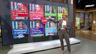 Summering av intervjuerna med toppkandidaterna i EU-valet | Nyhetsmorgon | TV4 & TV4 Play