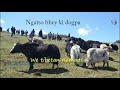 we tibetan nomads lyrics in english and tibetan bhey ki dogpa