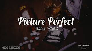 Kali Vibz  - Picture Perfect (From 'The Sesh Life' Mixtape) 📷