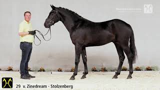 Verden Stallion Licensing 2020 - No. 29 Stallion by Zinedream - Stolzenberg - Contendro I