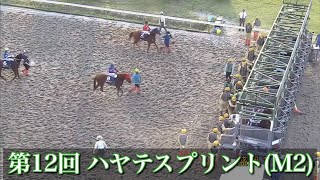 【第12回 ハヤテスプリント (M2)】 2024 7/2 盛岡競馬場 優勝馬:オスカーブレイン号