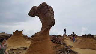 北海岸  野柳地質公園