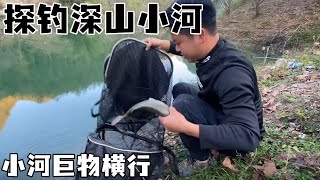 3公尺寬的深山小河，居然可以大魚爆護？ 這次釣得太爽了！【林波荒野独居】