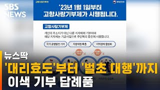 '대리효도'부터 '벌초 대행'까지…이색 기부 답례품 / SBS / 뉴스딱