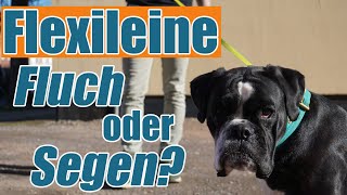 Flexileine - Sinn oder Unsinn?!