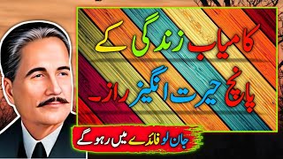 Five Amazing Secrets of a Successful Life | Allama Iqbal Quotes