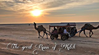 RANN OF KUTCH | A TRAVEL MOVIE 2019 | MOHIT BAMBOLI