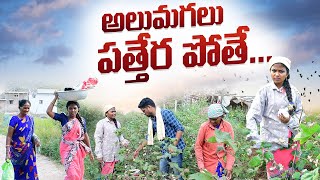 అలుమగలు పత్తేర పోతే | RITHIKA VIDEOS | MAHESH | TELANGANA VILLAGE COMEDY | VILLAGE SHOW | MAS VIDEOS