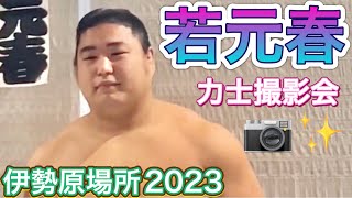 若元春が力士撮影会に登場❗️😃【伊勢原場所2023】 2023/10/9 大相撲 秋巡業 Wakamotoharu photo shooting,  Isehara basho [sumo]