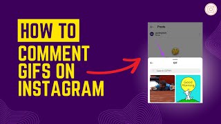 How to comment gifs on instagram 2024