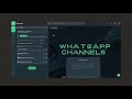 How to Automate WhatsApp Channels with API | Full Demo & Tutorial