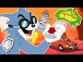 Tom y Jerry en Español | Tom corta Australia por la mitad | WB Kids