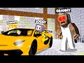 I STOLE LAMBORGHINI FROM GRANNY