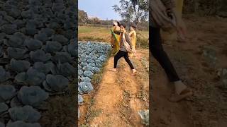 Sabji Badi kumhari#beautiful cabbage#vegetableslover#shortsyoutube #viralvideo#trendingshorts#video