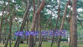 서울 강북구의 명소이며 자랑인 우이동 솔밭공원(드론영상) - 서울공원,강북구 힐링장소