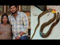 mp man snakebite plot fails after second wife survived nandighosha tv