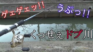 こんな場所にも巨大魚は潜んでいます