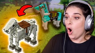 MEU CAVALO VIROU UM ESQUELETO NO MINECRAFT! Parte 24