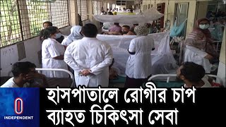 ডেঙ্গু নিয়ন্ত্রণে সবাইকে সচেতন হওয়ার তাগিদ || Dengue Situation